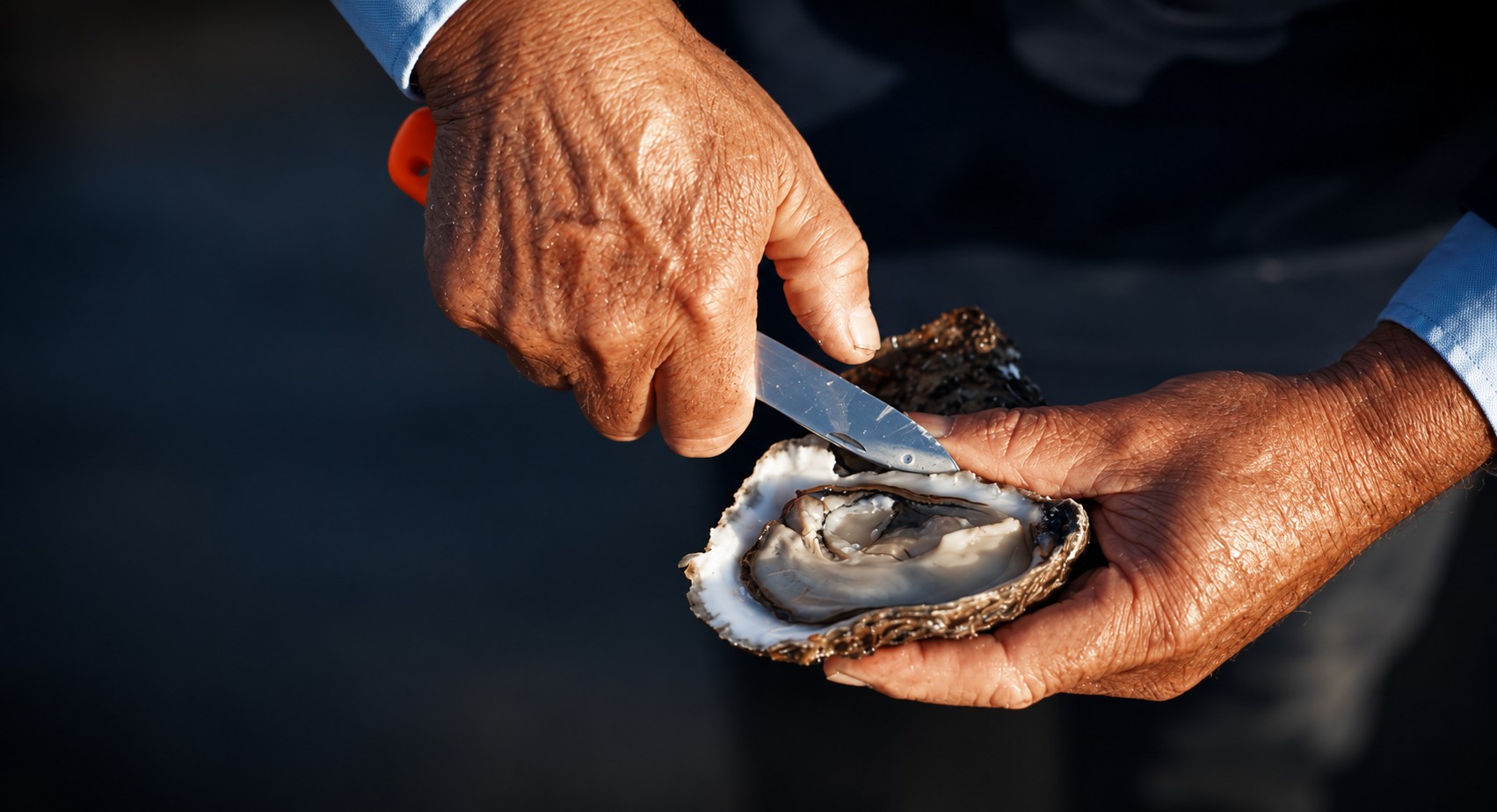 Ouverture d'une huître à la main, savoir-faire Famille Dangaly, Bretagne Sud